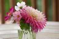 100種花的花語(yǔ)，再不為送花發(fā)愁