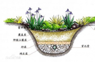 什么是雨水花園？雨水花園和普通花園有什么區(qū)別？